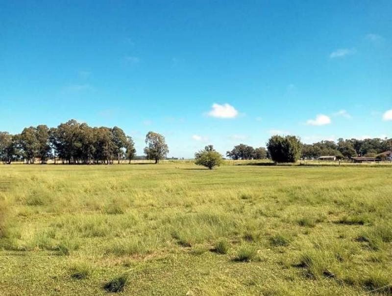  | Chácara para Venda - Costa do Velhaco - Arambaré